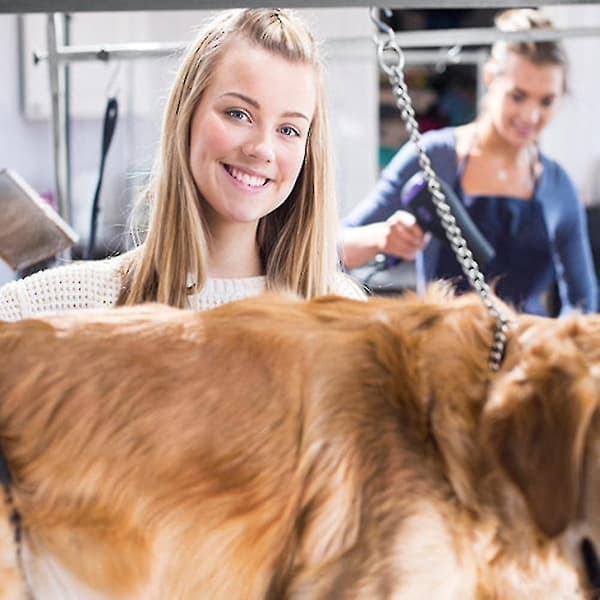 Överviktigt Stryphalsband för Hund 50CM