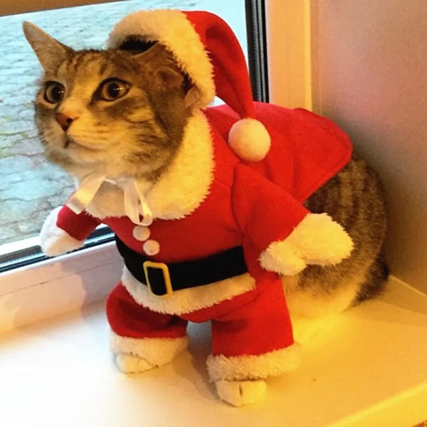 Julkattdräkter Roliga jultomtekläder för små katter Hundar Xmas Nyår Husdjur Kattkläder Vinter Kitty Kattunge Outfits Red M