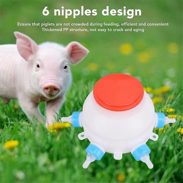 Lammutfodringshink, Nappflaska för smågrisar med 6 nappar