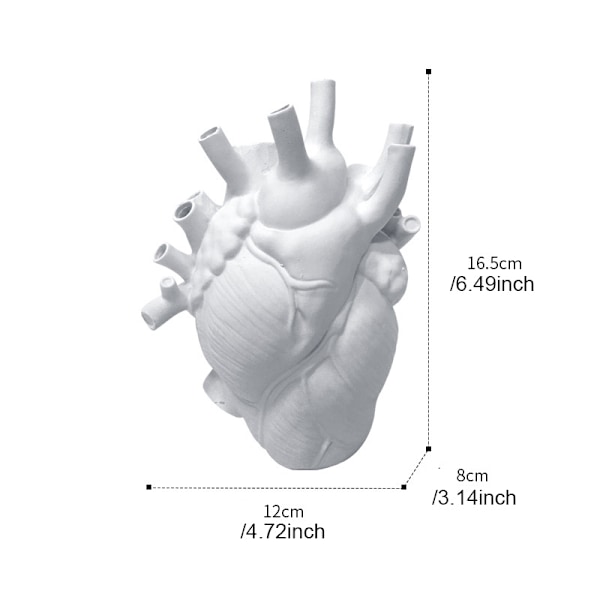 Hjärtformad Blomkruka i Resin Anatomisk Hjärtstaty Kreativt Hantverk Ornament För Hem Vardagsrum Balkong Dekoration Vit White S