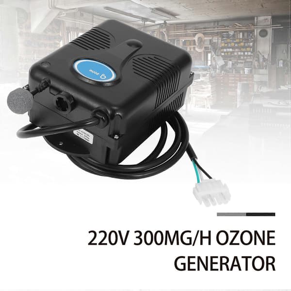 220V 300Mg/H Generator Badkar Dusch SPA Pool black