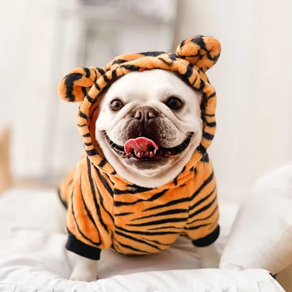 Kæledyrshundetøj Vinter Blød Fleece Hunde Hættetrøjer Kæledyrstøj til Små Hunde Hvalpe Katte Chihuahua Yorkshire Kæledyrskostume Cow M