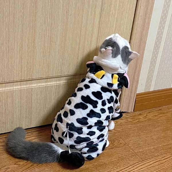 Kæledyrshundetøj Vinter Blød Fleece Hunde Hættetrøjer Kæledyrstøj til Små Hunde Hvalpe Katte Chihuahua Yorkshire Kæledyrskostume Cow M