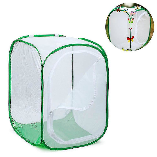 Hög Stor Fjärilshabitat Bur Hopfällbart Terrarium Pop-up Lnches, Insekt- och Fjärilsnät för Uppfödning av Insekter