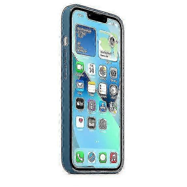 Silikondeksel for iPhone 13 med Magsafe Blue Jay