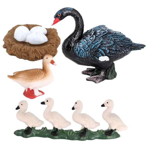 Realistisk djurlivscykelmodell leksak tillväxtcykel barnleksak svart svan Colourful