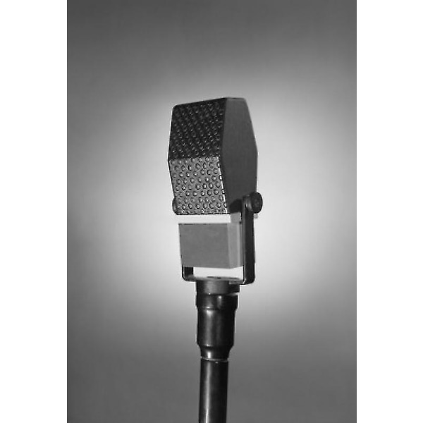 Mikrofon, Studio Shot affisch 24 x 36