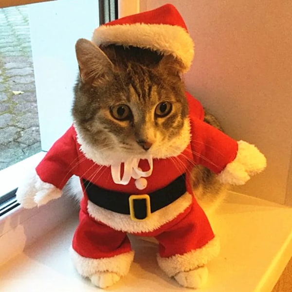 Julkattdräkter Roliga jultomtekläder för små katter Hundar Xmas Nyår Husdjur Kattkläder Vinter Kitty Kattunge Outfits Red L