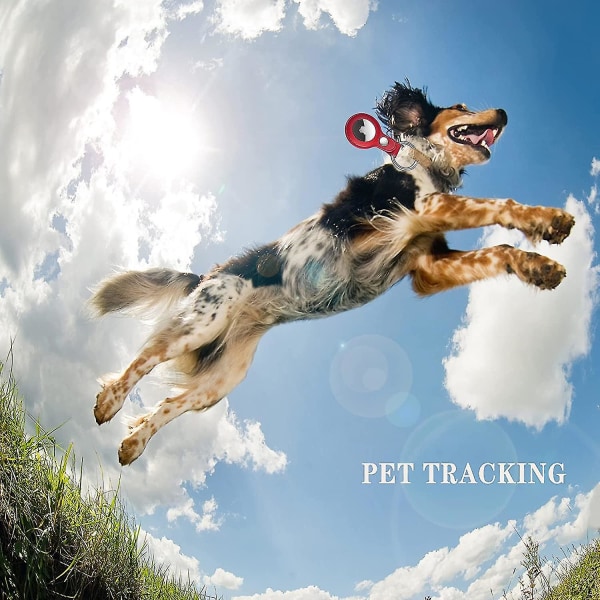 4-pack Nyckelring Läder Airtag Fodral Tracker Locator Passar Apple Hundhalsband