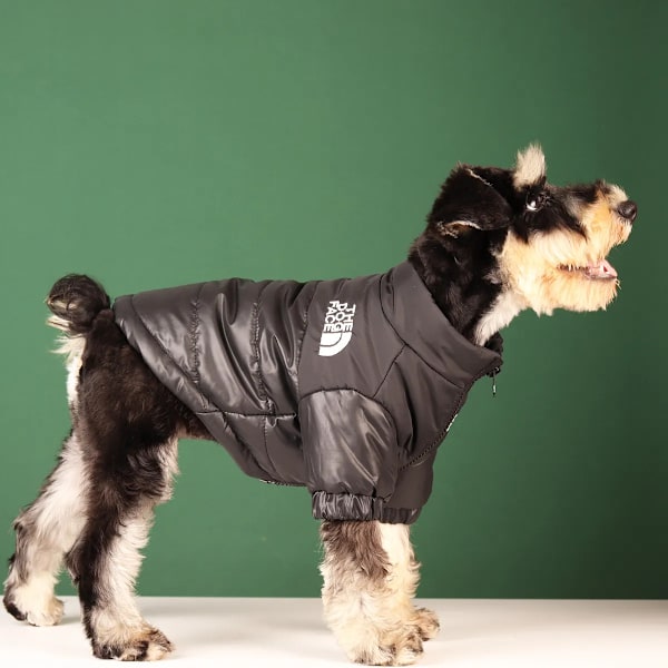Stora Vinter Kläder för Hund Franska Bulldog Valp Varm Vindtät Jacka Liten Mellanstor Hund Reflexjacka Chihuahua Husdjurskläder Pink L
