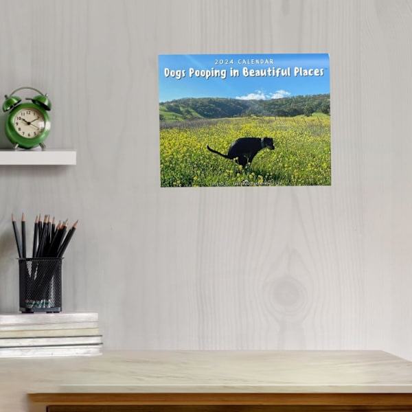 Kalender 2025 Rolig Hund Väggkalender Bajsande Hundkalender Väggkonst Skämt Humor Present Sprankskalender för Födelsedagar, Jul