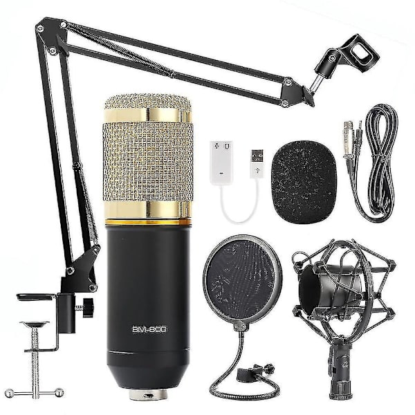 Mikrofoner Handhållen Mikrofon Studio Kondensatormikrofon Kompatibel med Ktv Radio och Braod Casting