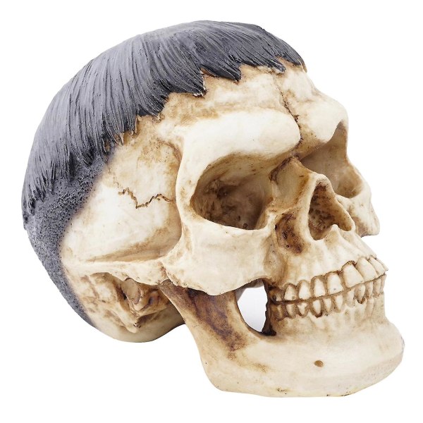1x Human Skull Decors Prop Skelett Plast Head Halloween Coffeebar Ornaments