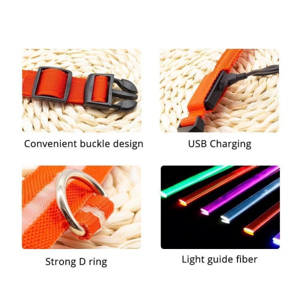 Hund USB laddningshalsband Anti-förlust/förhindra bilolyckor för valpar, gul, XL HALS 52-60 CM