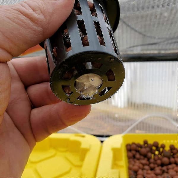 100-pakning 1.77\" Mesh Net Potter med Bred Kant for Hydroponiske Dyrkingssystemer
