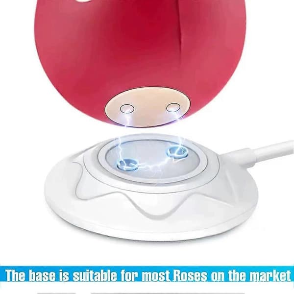 Ladekabler Tilbehør Sexy Rose Lader Tilbehør