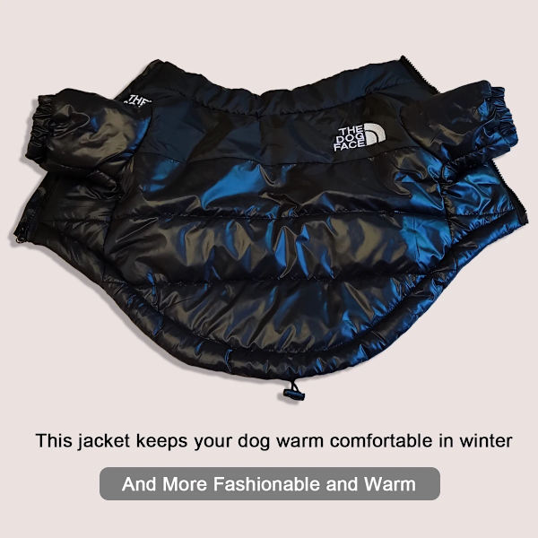 Stora Vinter Kläder för Hund Franska Bulldog Valp Varm Vindtät Jacka Liten Mellanstor Hund Reflexjacka Chihuahua Husdjurskläder Orange XL