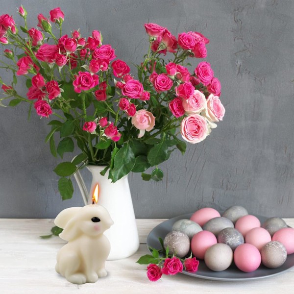 3D Ande Lysforme Dyre Resin Form And