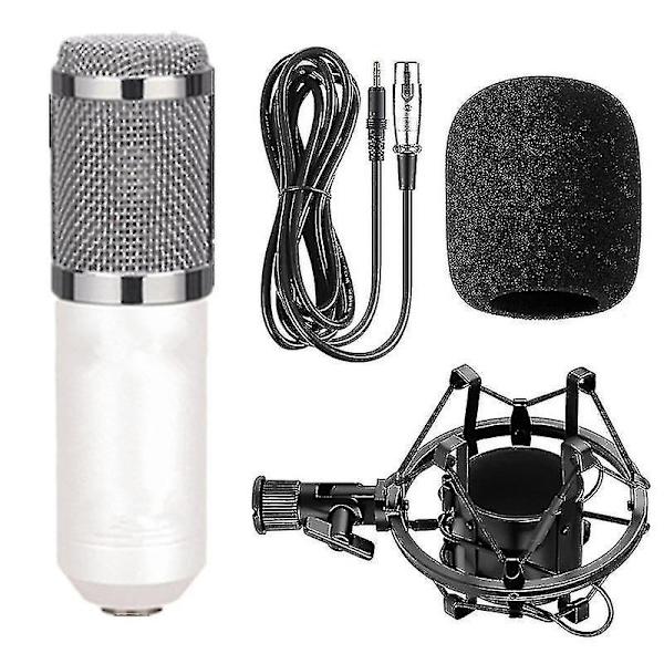Mikrofoner Handhållen Mikrofon Studio Kondensatormikrofon Kompatibel med Ktv Radio och Braod Casting