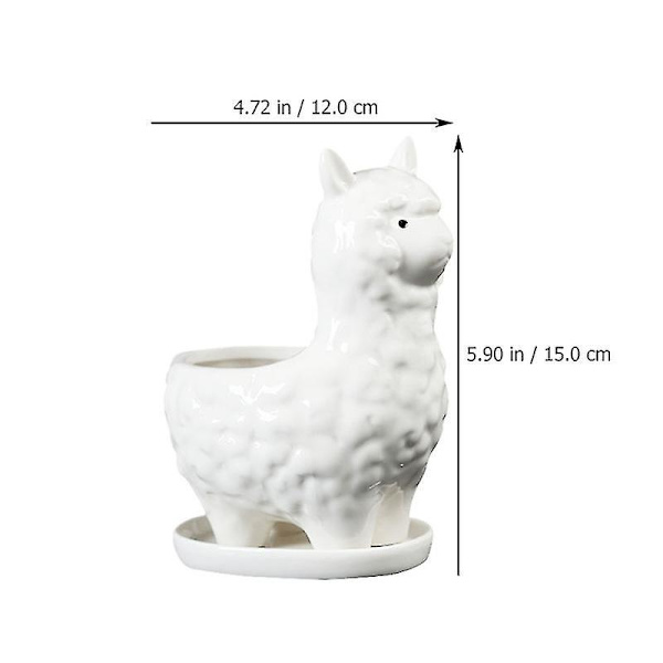 2 st Alpacka Blomkruka