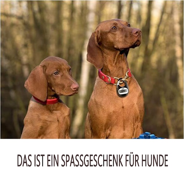 Enkel stegräknare för promenader för män, kvinnor, barn, HUND