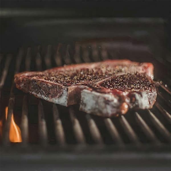 thermopro TP20 TP17 kødsensor med 2 BBQ holdere