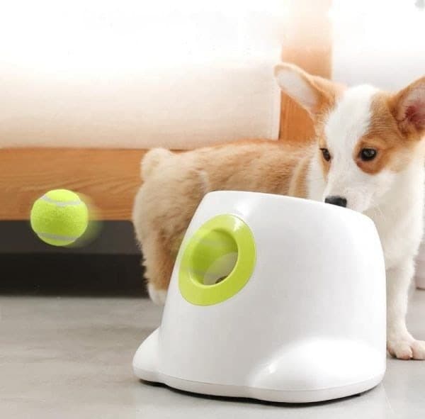 Automatisk ballkaster – Hund – 3, 6, 9 m