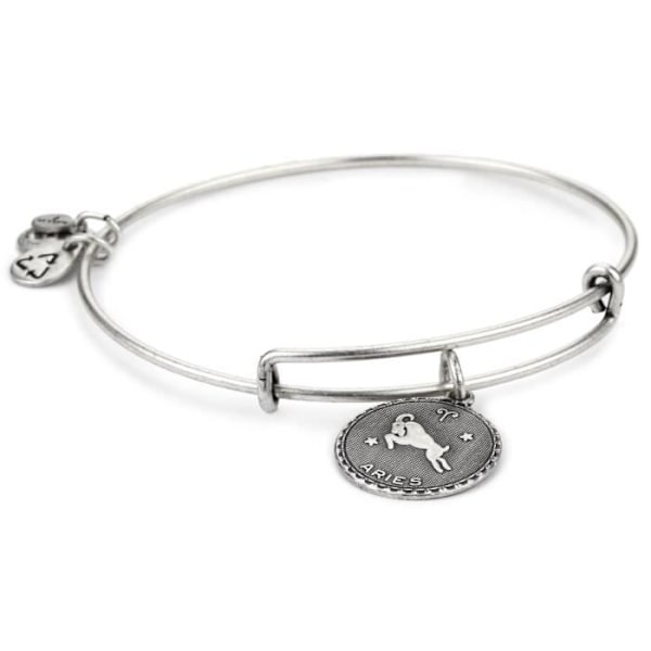 Bijoux - Alex And Ani - A07EB40ARRS - Laiton - Silver - Kvinna