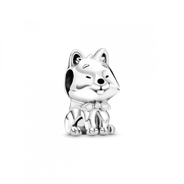 Pandora Charm 799030C01