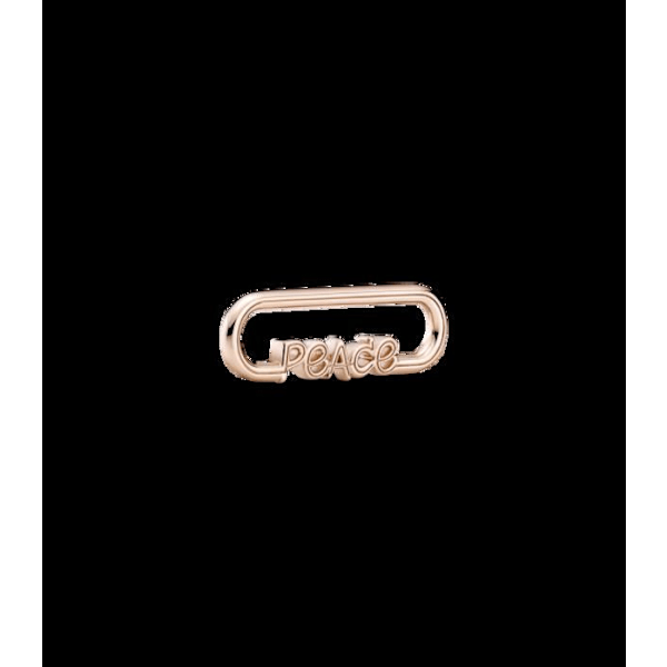 Pandora berlock 789698C00