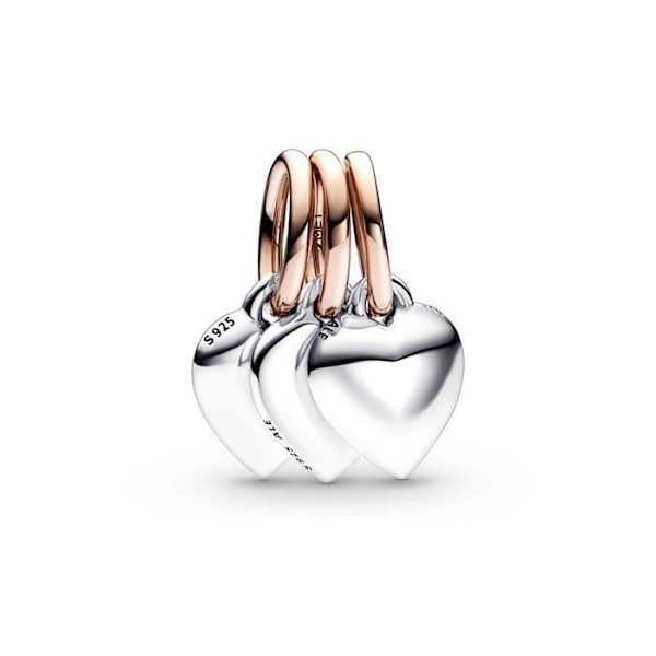 Charm vedhæng - PANDORA - 782648C00 - Tofarvet - Metal - Blandet Två tonig