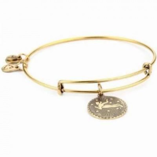 Smykker - Alex And Ani - A07EB40VIRG - Messing - Guld - Kvinde