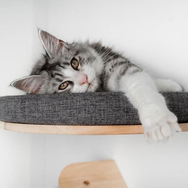 Cat Tree - RHRQuality by Climbing Cats - XXL Luxury Sofa (Grå)