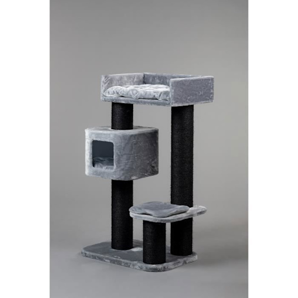 Kissapuu - RHRQuality Devon Rex Blackline Grey isot kissat Grå