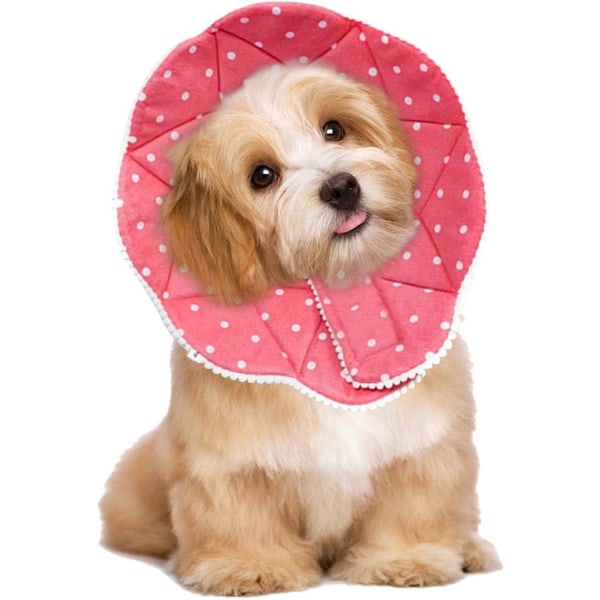 Comfy Cone-Komfortabelt halsband efter operation för katter och hundar, stu