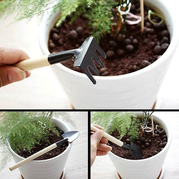 Mehevät kasvien työkalut, mini puutarha käsin siirretty puutarhanhoitoon