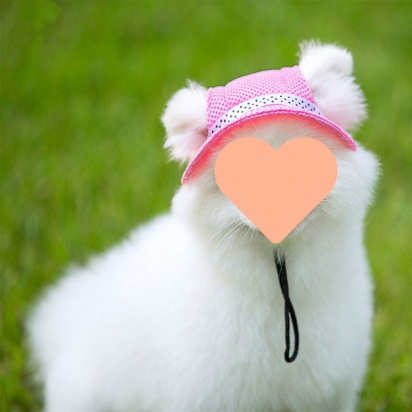 Rund brem prinsesse caps visir lue kjæledyr hund mesh porøs sol caps wit