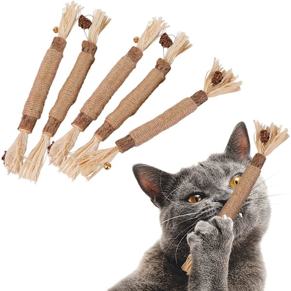 5 kattetyggepinner gressleke for å rengjøre kattens tenner sølvvin indoor