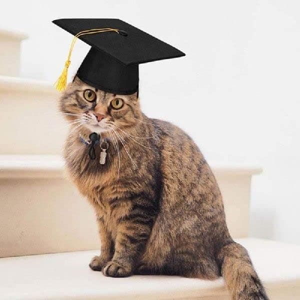 Hundegradueringshat