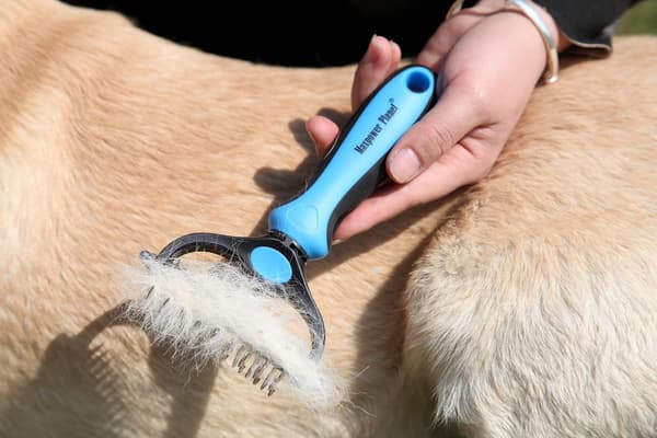 Husdjurspelsborste - Dubbelsidig fällning och demättning underull