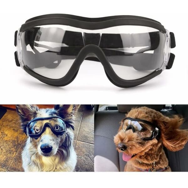 Hunde Goggles Pet Solbriller Øyebeskyttelse Vanntett Vindtett fo