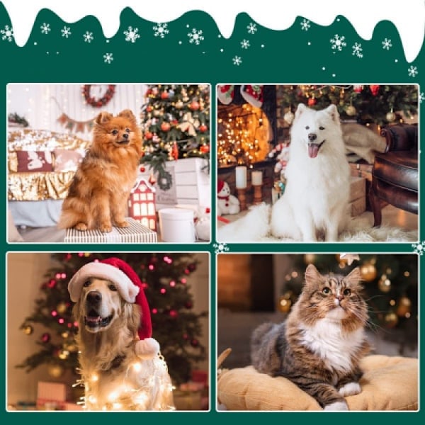 M Hund Julskjerf Julenissen Skjerf Varmt