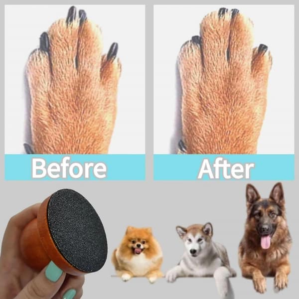 1 st Nagelfil för Hund, Nagelslipbräda med 3 Sandpapper, Tryckfri