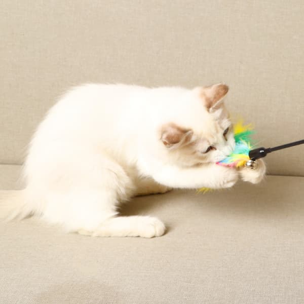 1 kpl Kissankellolelu höyhenillä