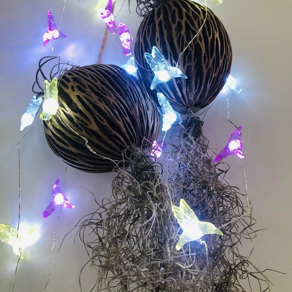 1M 20 LED Hummingbird Fairy String Lights, vattentät, USB -ström
