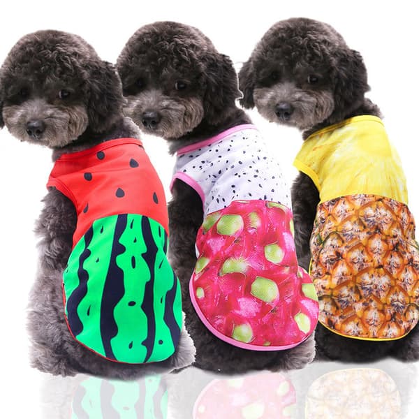 Husdjursväst vår och sommar bomull tecknad tryck kläder Teddy Bea