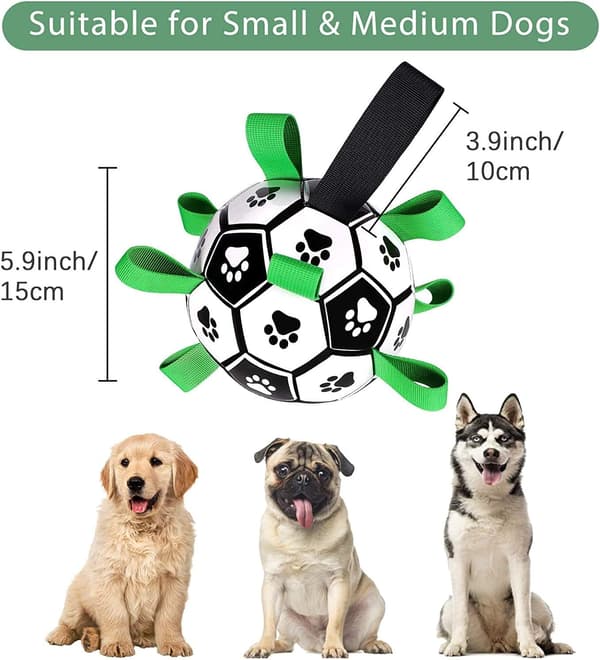Interaktiv indendørs og udendørs hundefodboldbold til kæledyr