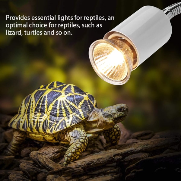 2-delad självlysande sköldpaddslampa värmeglödlampa E27 (25W) för reptil