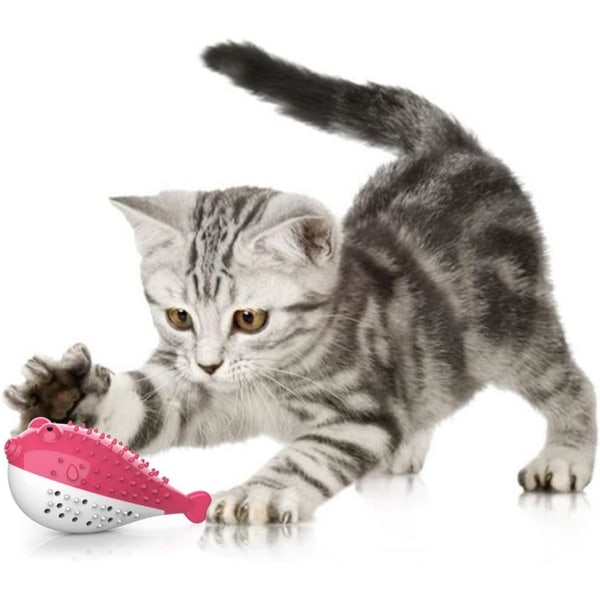 Cat Dental Toy, Cat Toy Silikon Molar Chew Toy Kitten Catnip Too