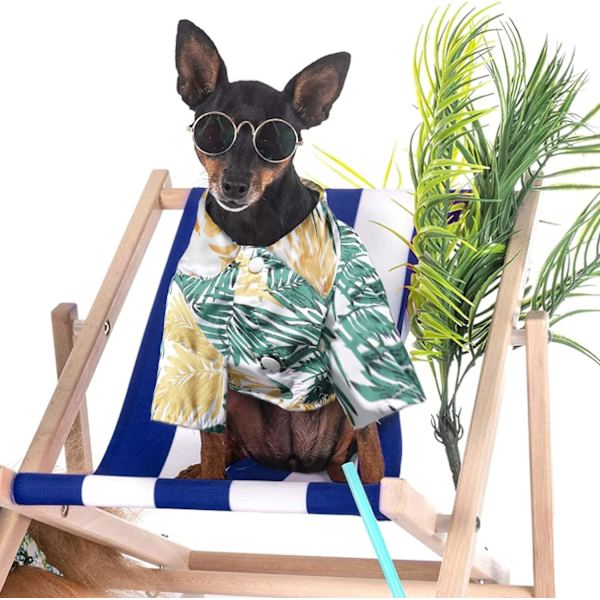 4 kappaletta Havaijin koirapaitoja Kesä Hengittävä Lemmikkieläinten Vaatteet Koira Swea